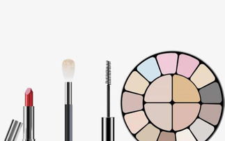 吉林化妆学校教你掌握眼影搭配协调法则